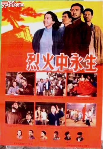 共立女子大学Diploma